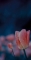 1111